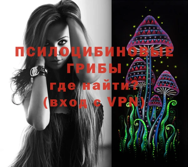 эйфоретик Пестово