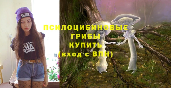 эйфоретик Пестово