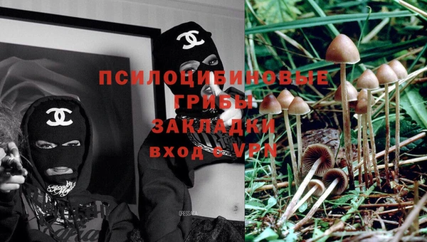 эйфоретик Пестово