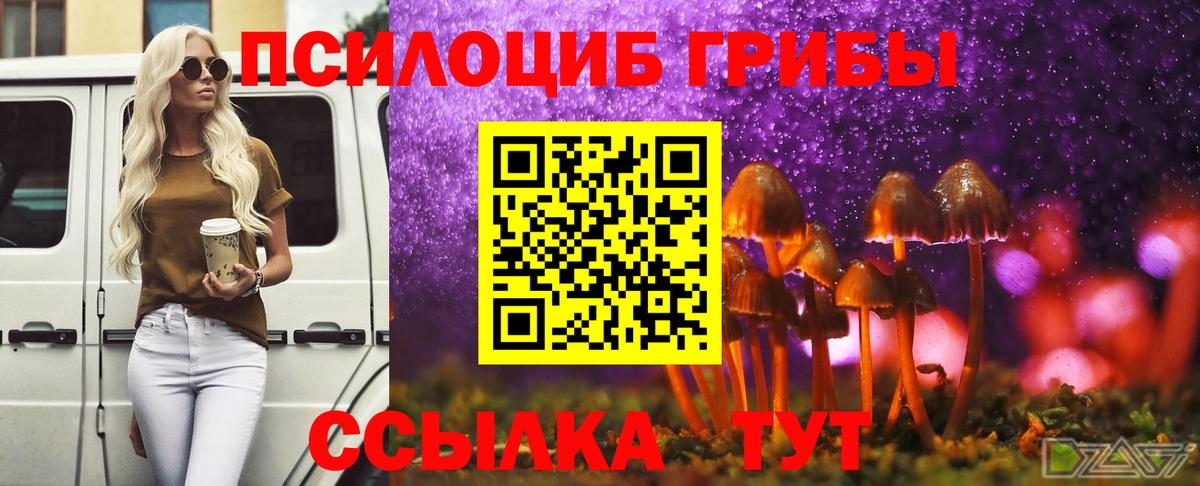 Приморско-Ахтарск  Псилоцибиновые грибы Psilocybine cubensis  Вход с VPN 