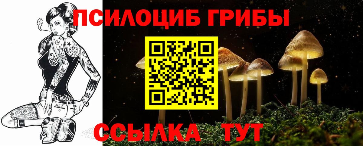 Псилоцибиновые грибы MAGIC MUSHROOMS Приморско-Ахтарск